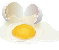 Вміст холестерину і лецитину в яйцях