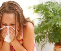 Алергія на пил симптоми і лікування