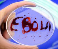 Як захистити свій організм від лихоманки Ебола