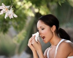 Алергія на амброзію симптоми і лікування