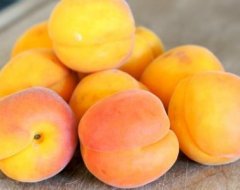 Корисні властивості абрикоса