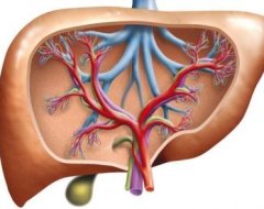 Кавернозна гемангіома печінки – причини симптоми і лікування