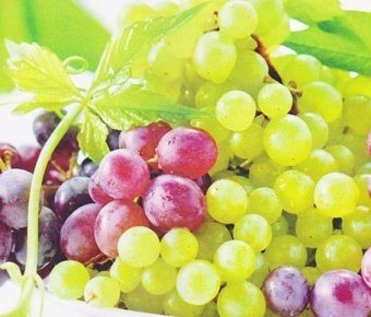 Корисні властивості виноградного соку, потенційна шкода і протипоказання