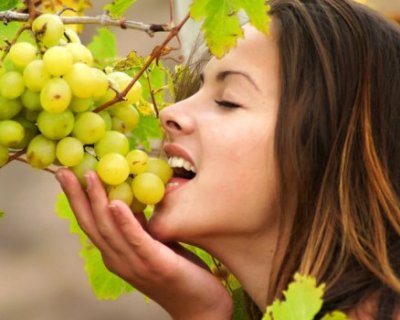 Правила частування і лікування виноградом без кісточок, кишмиш 