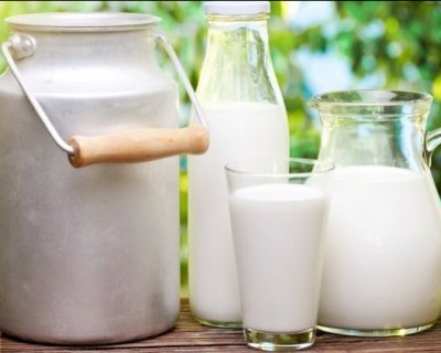 Незбиране молоко пити чи не пити? Вчені дали остаточну відповідь на це питання