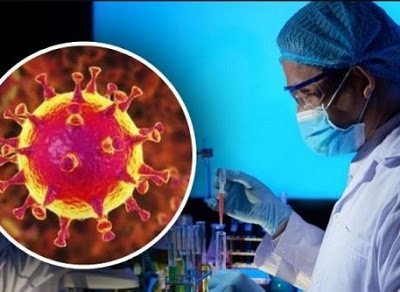 8 міфів про коронавіруси, в які пора перестати вірити